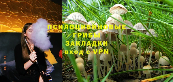 молекула духа Пестово