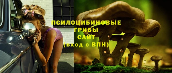 СК Осинники