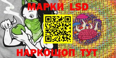 apvp Гусев