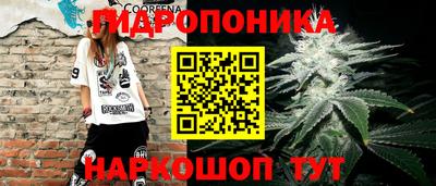apvp Гусев