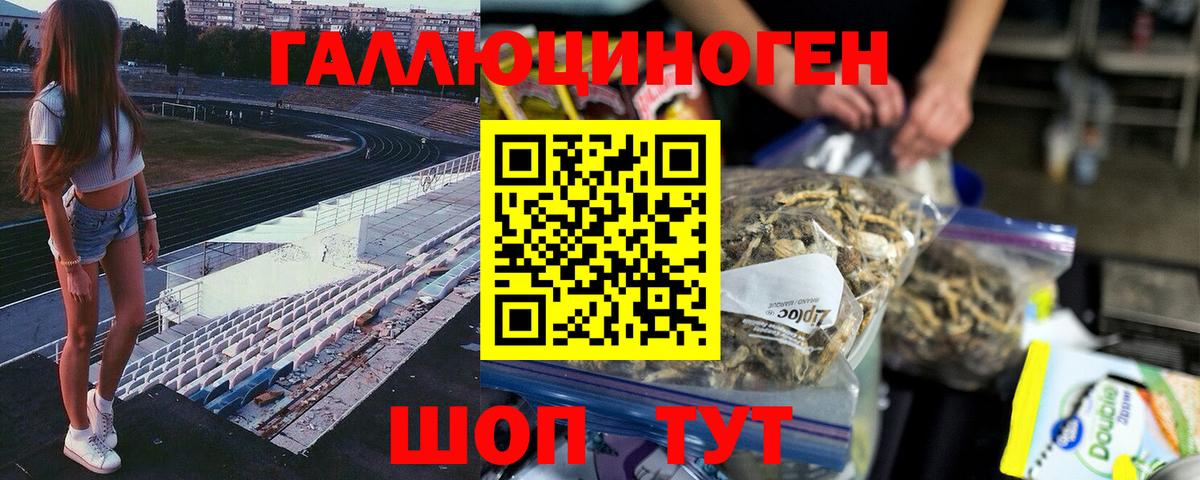 Псилоцибиновые грибы мицелий Магнитогорск